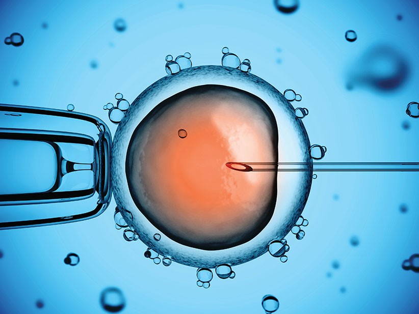 Глава 08: Микроманипулациите: Напредък при лечението на мъжки стерилитет